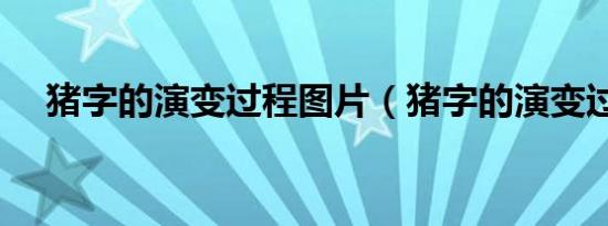猪字的演变过程图片（猪字的演变过程）