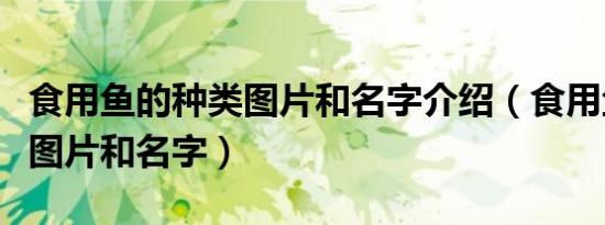 食用鱼的种类图片和名字介绍（食用鱼的种类图片和名字）