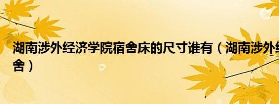 湖南涉外经济学院宿舍床的尺寸谁有（湖南涉外经济学院宿舍）
