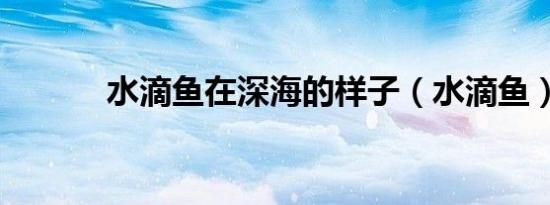水滴鱼在深海的样子（水滴鱼）
