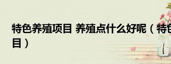 特色养殖项目 养殖点什么好呢（特色养殖项目）