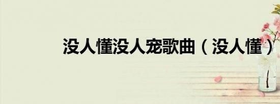 没人懂没人宠歌曲（没人懂）