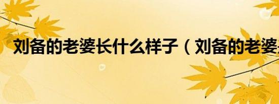刘备的老婆长什么样子（刘备的老婆是谁）