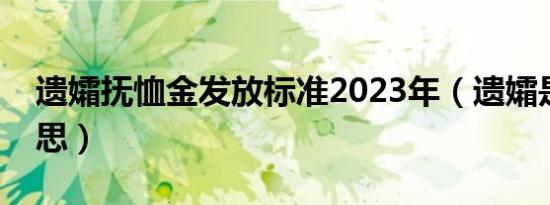 遗孀抚恤金发放标准2023年（遗孀是什么意思）