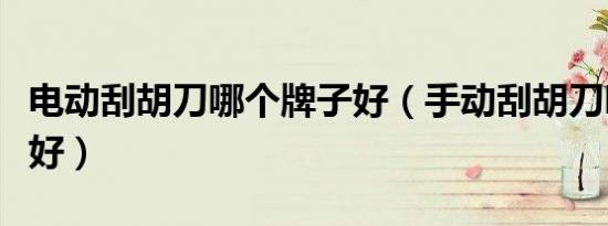电动刮胡刀哪个牌子好（手动刮胡刀哪个牌子好）