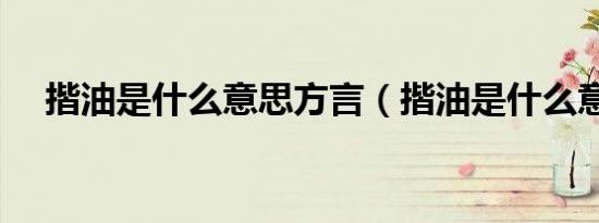 揩油是什么意思方言（揩油是什么意思）