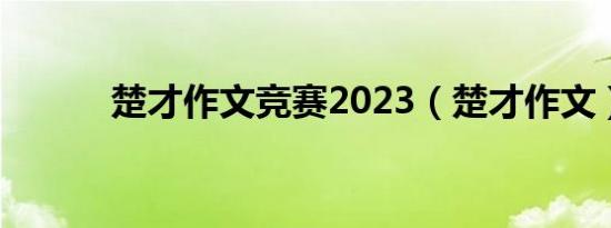 楚才作文竞赛2023（楚才作文）