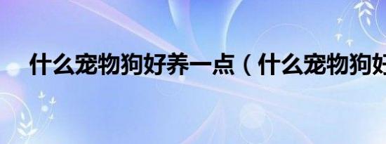什么宠物狗好养一点（什么宠物狗好养）