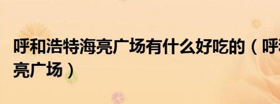 呼和浩特海亮广场有什么好吃的（呼和浩特海亮广场）