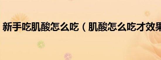 新手吃肌酸怎么吃（肌酸怎么吃才效果明显）
