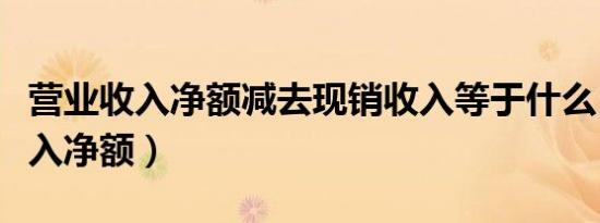 营业收入净额减去现销收入等于什么（营业收入净额）
