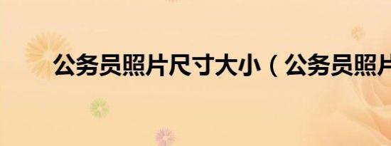 公务员照片尺寸大小（公务员照片）