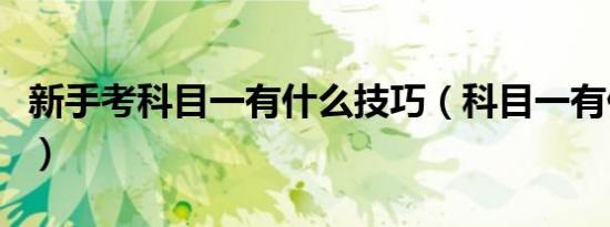 新手考科目一有什么技巧（科目一有什么技巧）