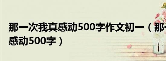 那一次我真感动500字作文初一（那一次我真感动500字）
