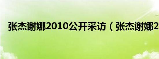 张杰谢娜2010公开采访（张杰谢娜2010）