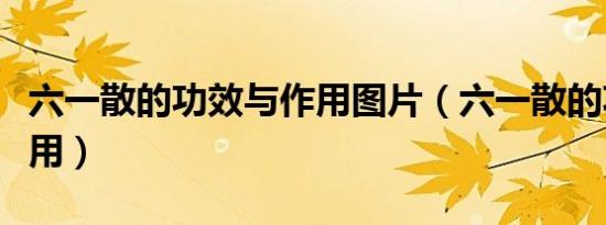六一散的功效与作用图片（六一散的功效与作用）