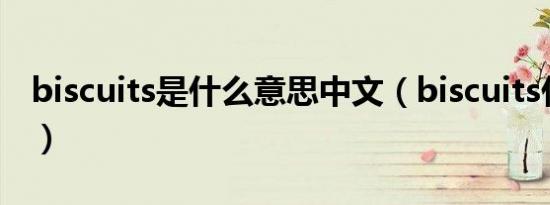 biscuits是什么意思中文（biscuits什么意思）