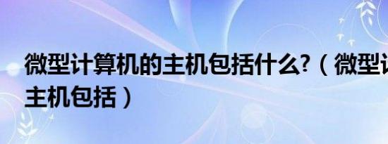 微型计算机的主机包括什么?（微型计算机的主机包括）