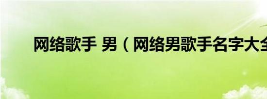 网络歌手 男（网络男歌手名字大全）