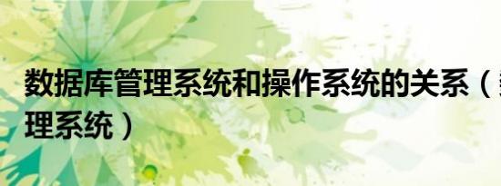 数据库管理系统和操作系统的关系（数据库管理系统）