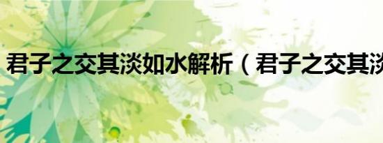 君子之交其淡如水解析（君子之交其淡如水）