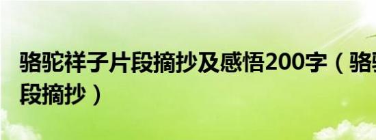 骆驼祥子片段摘抄及感悟200字（骆驼祥子片段摘抄）