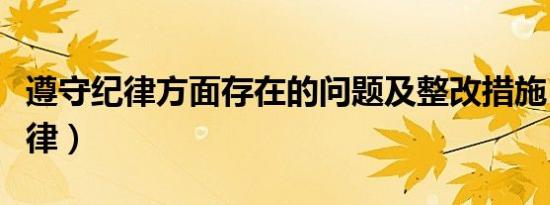 遵守纪律方面存在的问题及整改措施（遵守纪律）