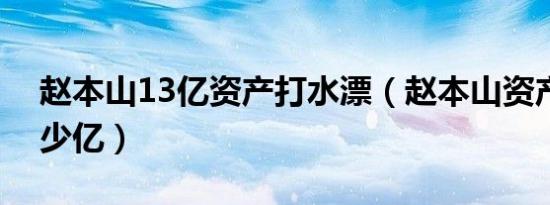 赵本山13亿资产打水漂（赵本山资产一共多少亿）