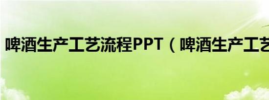 啤酒生产工艺流程PPT（啤酒生产工艺流程）