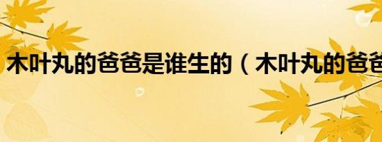 木叶丸的爸爸是谁生的（木叶丸的爸爸是谁）