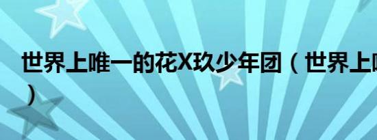 世界上唯一的花X玖少年团（世界上唯一的花）