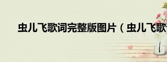 虫儿飞歌词完整版图片（虫儿飞歌词）