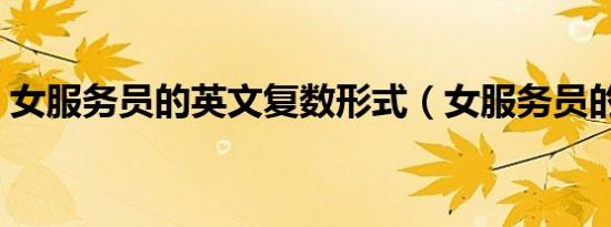 女服务员的英文复数形式（女服务员的英文）