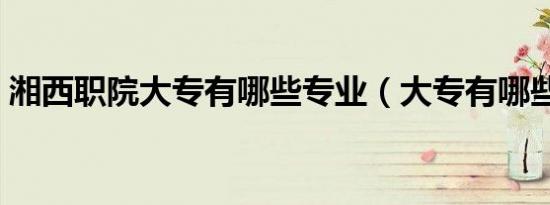 湘西职院大专有哪些专业（大专有哪些专业）