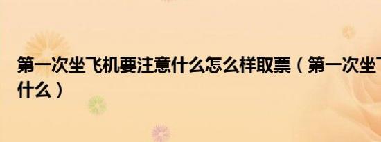 第一次坐飞机要注意什么怎么样取票（第一次坐飞机要注意什么）