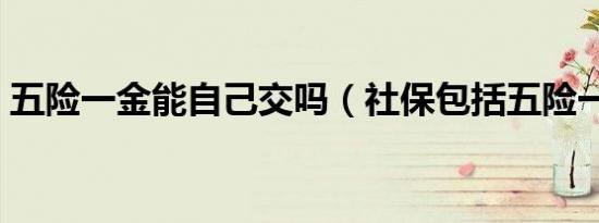 五险一金能自己交吗（社保包括五险一金吗）