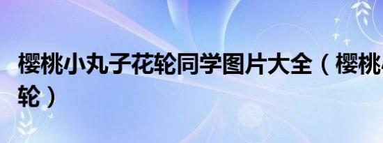 樱桃小丸子花轮同学图片大全（樱桃小丸子花轮）