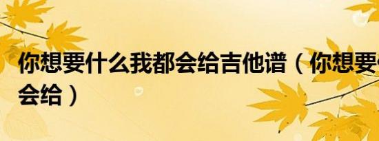 你想要什么我都会给吉他谱（你想要什么我都会给）