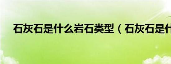 石灰石是什么岩石类型（石灰石是什么）