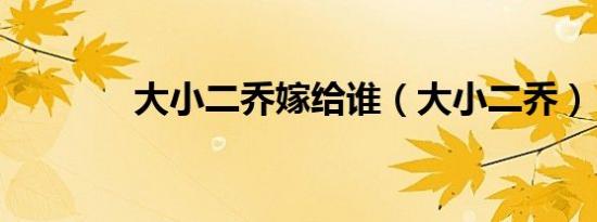 大小二乔嫁给谁（大小二乔）