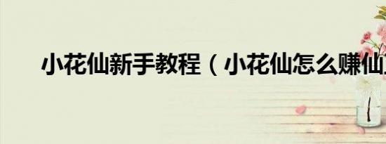 小花仙新手教程（小花仙怎么赚仙豆）
