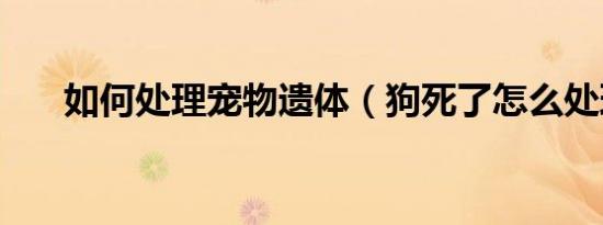 如何处理宠物遗体（狗死了怎么处理）