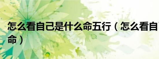 怎么看自己是什么命五行（怎么看自己是什么命）