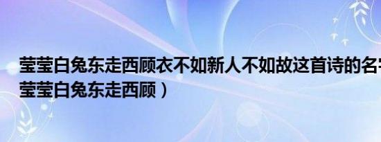 莹莹白兔东走西顾衣不如新人不如故这首诗的名字叫什么（莹莹白兔东走西顾）