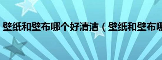 壁纸和壁布哪个好清洁（壁纸和壁布哪个好）