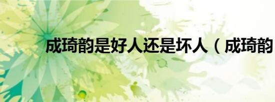 成琦韵是好人还是坏人（成琦韵）
