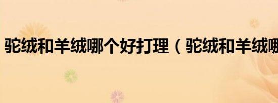 驼绒和羊绒哪个好打理（驼绒和羊绒哪个好）