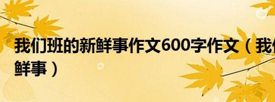 我们班的新鲜事作文600字作文（我们班的新鲜事）