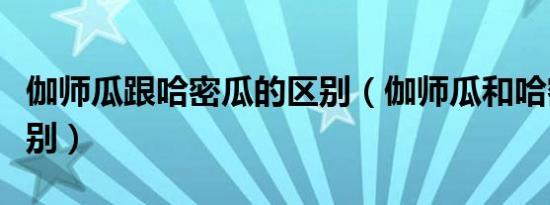 伽师瓜跟哈密瓜的区别（伽师瓜和哈密瓜的区别）