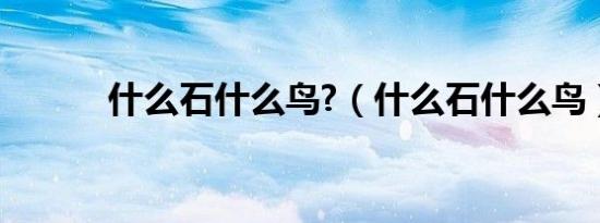 什么石什么鸟?（什么石什么鸟）